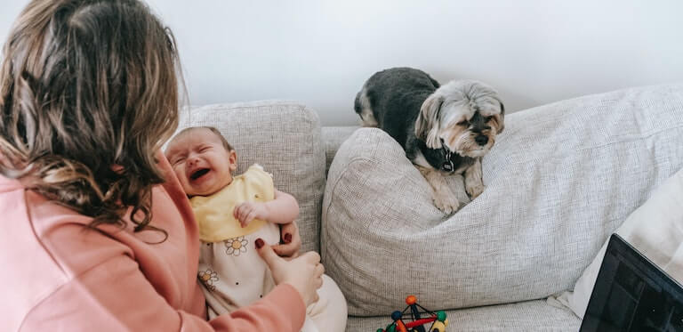 Mom holding a crying baby while a dog is close by